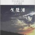 戈壁淚 戈壁淚