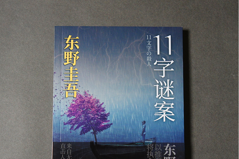 11字謎案(2023年人民文學出版社出版的圖書) 11字謎案(2023年人民文學出版社出版的圖書)