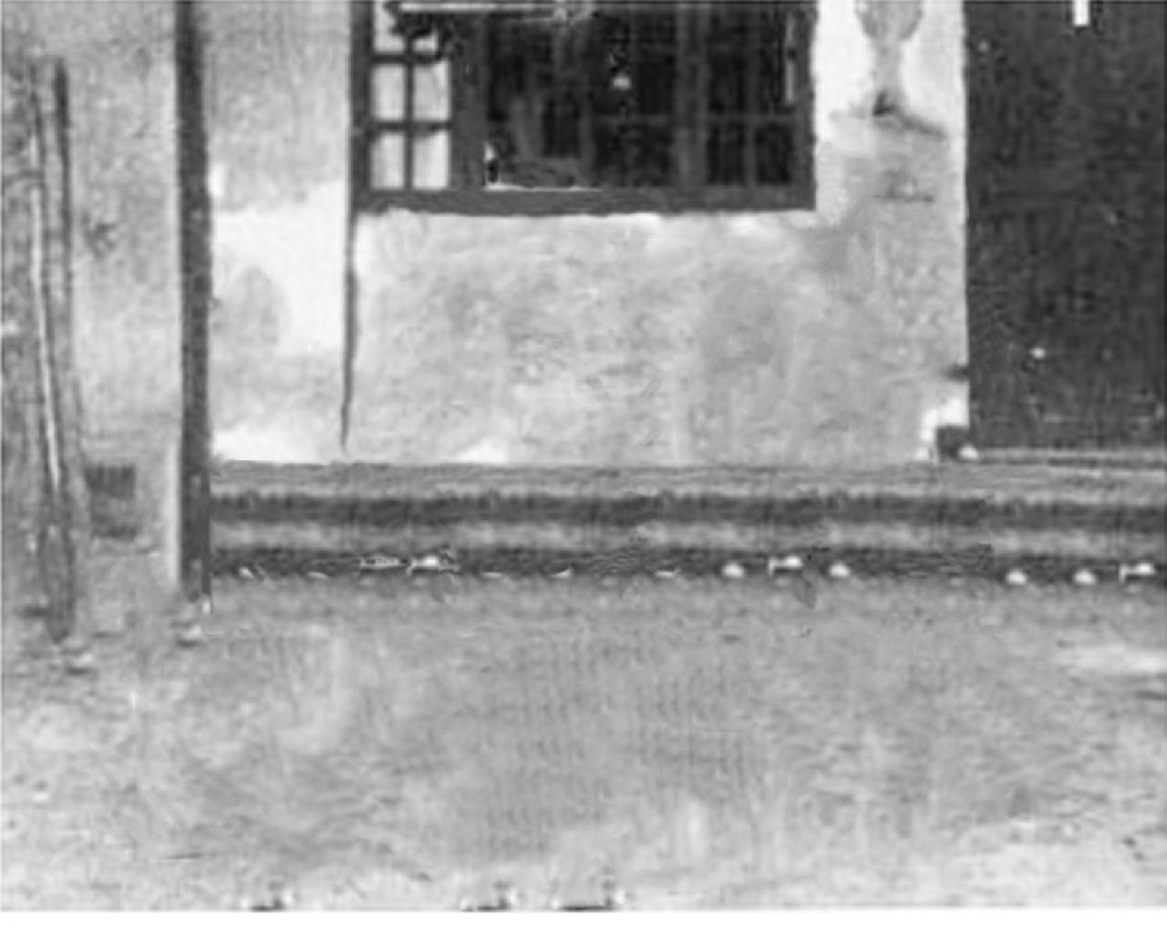西大故居-平房教授宿舍（1945-1952）