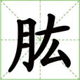 肱 肱