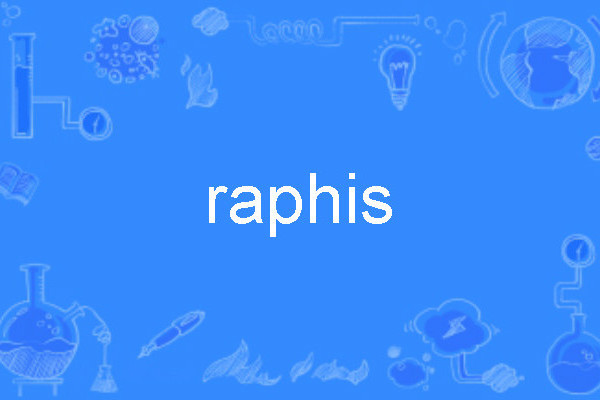 raphis raphis