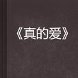 真的愛(網路小說) 真的愛(網路小說)