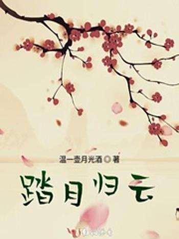 踏月歸雲 踏月歸雲