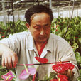 那中元 那中元