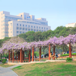 淮北師範大學(淮北煤炭師範學院) 淮北師範大學(淮北煤炭師範學院)