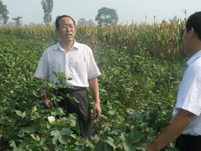 伯士鄉 伯士鄉