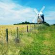 Windy Hill Windy Hill