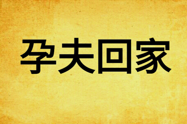 孕夫回家 孕夫回家