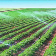 灌溉用水計畫