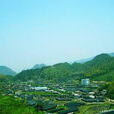 上田村(浙江省麗水龍泉市城北鄉下轄村)