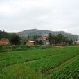 龍福村(雲南昆明市嵩明縣嵩陽鎮下轄村) 龍福村(雲南昆明市嵩明縣嵩陽鎮下轄村)