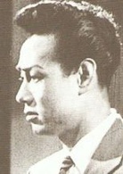 解語花(1941年張石川執導電影)