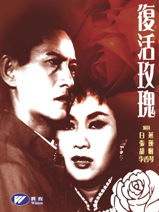 復活玫瑰 復活玫瑰