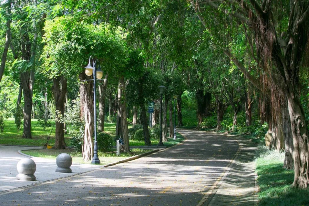 大沖公園 大沖公園