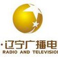遼寧廣播電視台經濟廣播