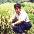 李義珍 李義珍
