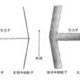 引力子 引力子