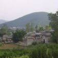 李龍寨村 李龍寨村