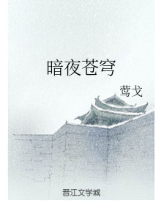 暗夜蒼穹 暗夜蒼穹