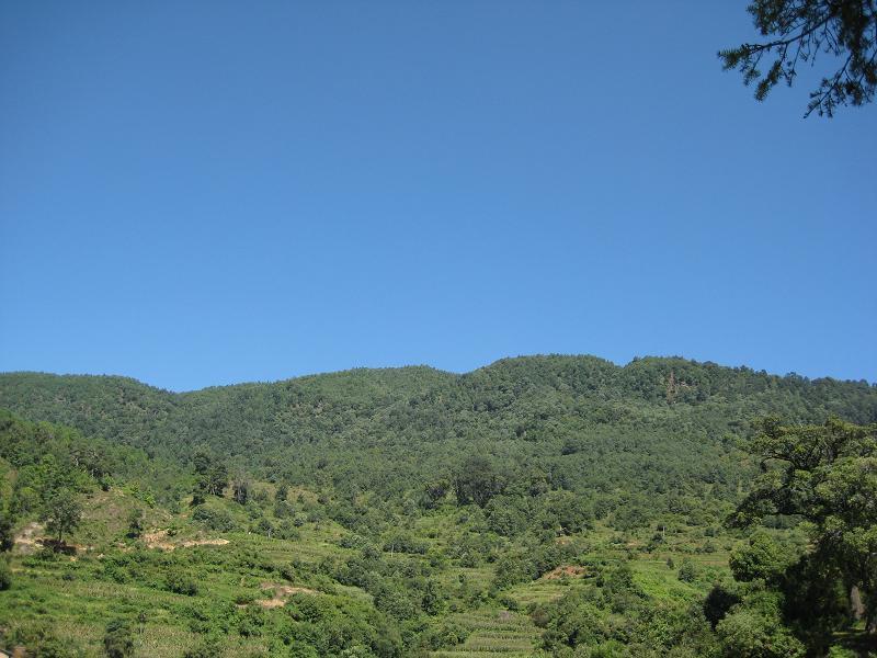 山品村 山品村