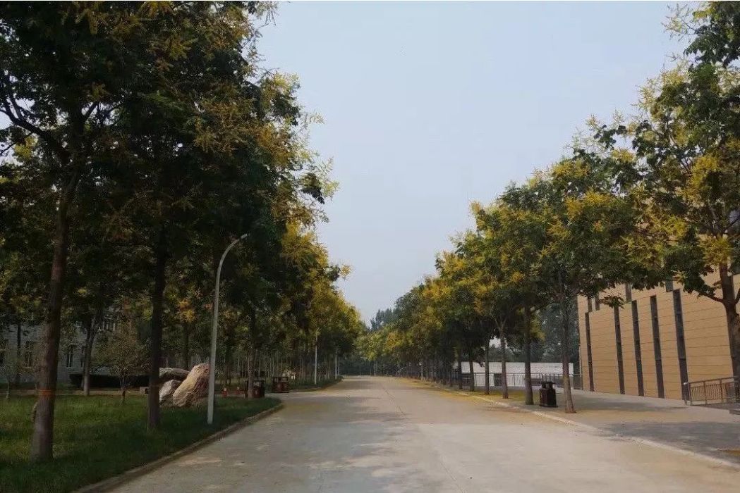 扁鵲路(泰州市醫藥高新區南北向道路) 扁鵲路(泰州市醫藥高新區南北向道路)
