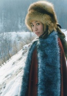 林海雪原(2002年李文歧執導電視劇)