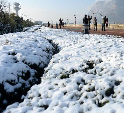 一冬四雪 一冬四雪