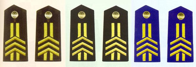 陸海空軍三級軍士長肩章(1993—1999)