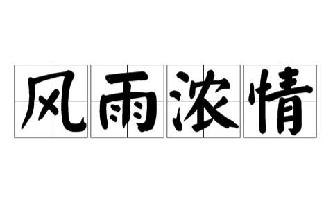 風雨濃情 風雨濃情