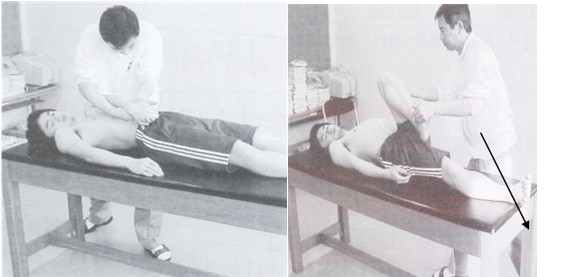 常用的上肢和下肢基本運動模式