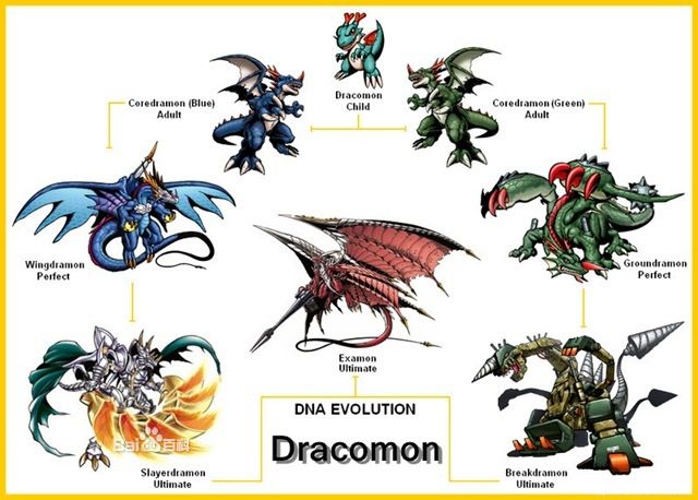 Dracomon‘s Evolution Line
