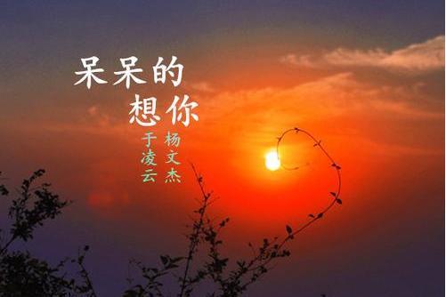 笨豬豬 笨豬豬