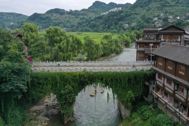 楊方大橋 楊方大橋