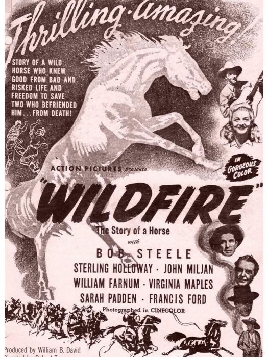 Wildfire(美國1945年Robert Emmett Tansey執導的電影) Wildfire(美國1945年Robert Emmett Tansey執導的電影)