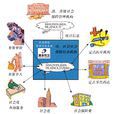 保險管理