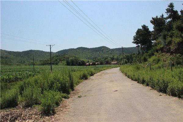 草萎溝村 草萎溝村