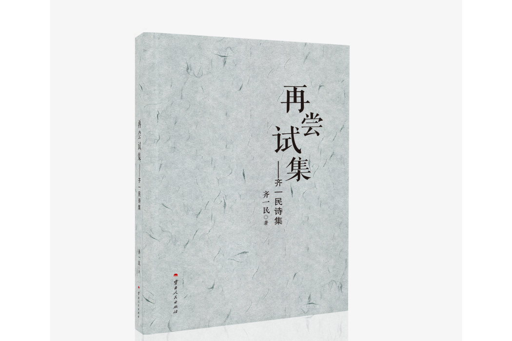 再嘗試集 再嘗試集