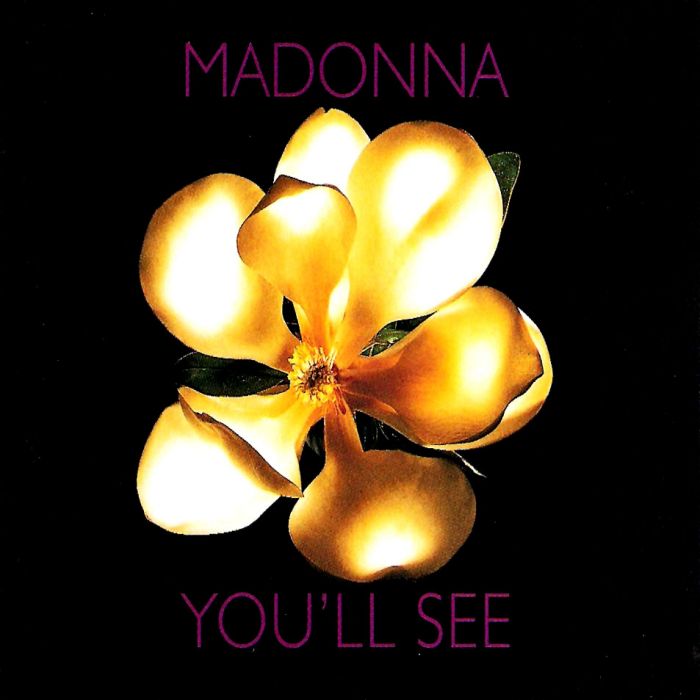 You\x27ll see(1995年麥當娜·西科尼演唱的歌曲) You\x27ll see(1995年麥當娜·西科尼演唱的歌曲)