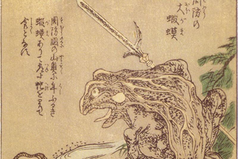 大蝦蟆 大蝦蟆