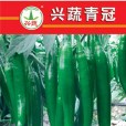 興蔬青冠 興蔬青冠