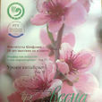 長春(俄羅斯葉賽寧梁贊國立大學孔子學院院刊) 長春(俄羅斯葉賽寧梁贊國立大學孔子學院院刊)