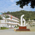 河市中學 河市中學