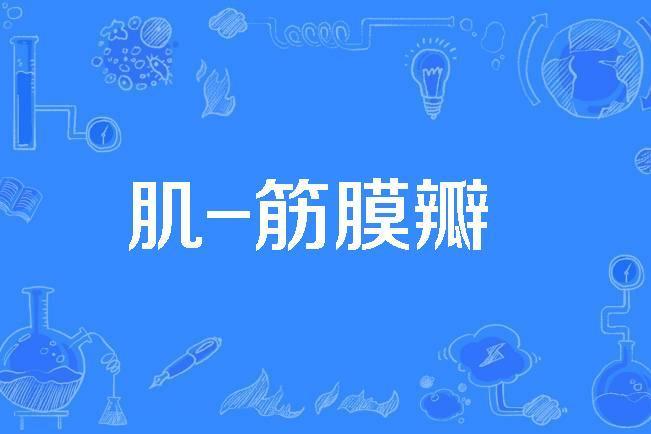 肌-筋膜瓣 肌-筋膜瓣