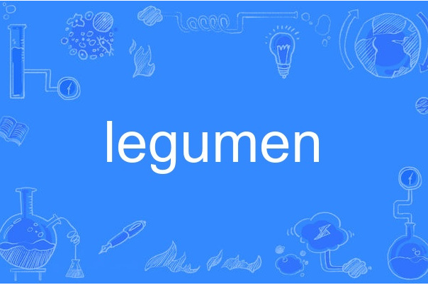 legumen legumen
