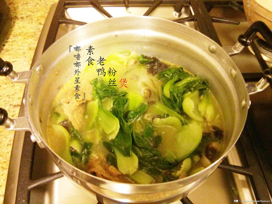 素老鴨煲