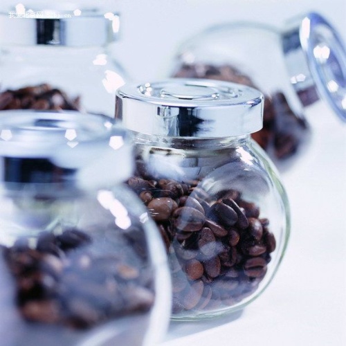 咖啡師常見的咖啡豆