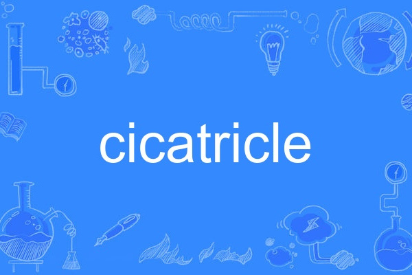 cicatricle cicatricle