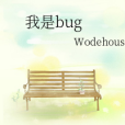 我是bug 我是bug