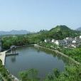 蒲河村 蒲河村