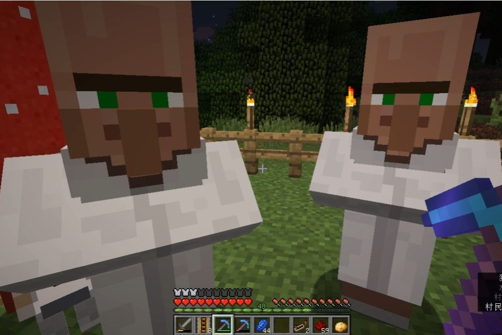 交易(遊戲《minecraft》中的機制) 交易(遊戲《minecraft》中的機制)